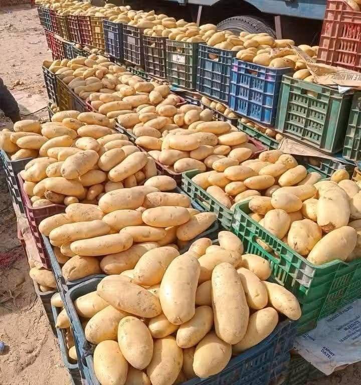 Fresh Potatoes